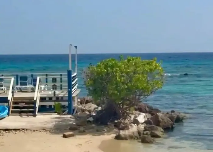 Apartment Paradise View- Oceanfront Oasis