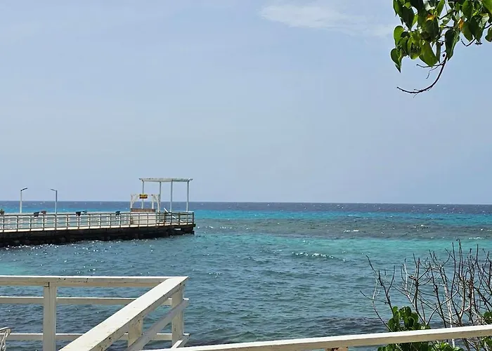 Apartment Paradise View- Oceanfront Oasis Runaway Bay