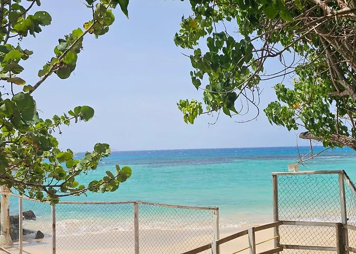 Paradise View- Oceanfront Oasis Runaway Bay